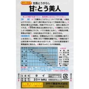 とうがらし タキイ交配 甘とう美人 タキイの青...の詳細画像1