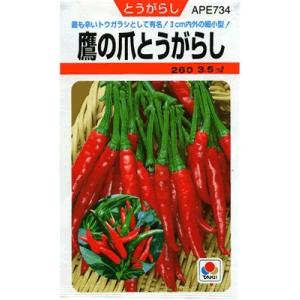 トウガラシ ビキーニョ イエロー種子 3g入り（約1000粒） Amazon.co.jp: とうがらし 種子 ビキーニョ 20粒 トウガラシ : DIY