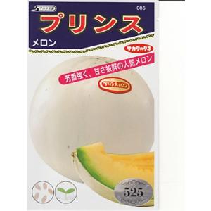 メロン種 サカタ交配 アールスナイト春・秋系 サカタのタネのメロン種