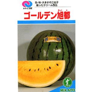 秀山 9粒 スイカ種子【西瓜種】【タキイのタネ】【野菜の種