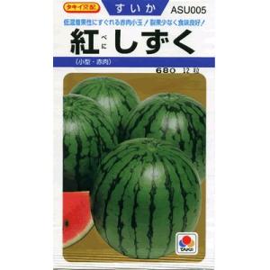 黄皮紅小玉スイカ 種 『愛娘ひなた』 ナント種苗/200粒 : 種兵ネット