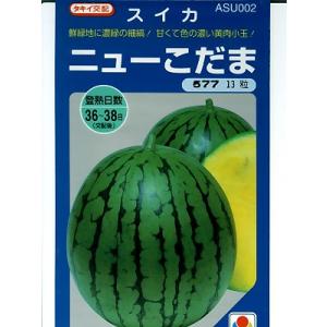 秀山 9粒 スイカ種子【西瓜種】【タキイのタネ】【野菜の種