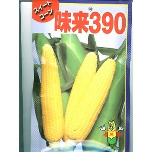 野菜種子 スイートコーン「プレミアム味来90」 100粒（サナテック