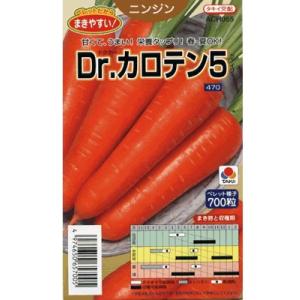 国産にんにく「平戸ニンニク 約500g入」 : 日光種苗ヤフー店 - 通販