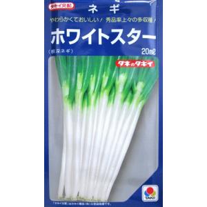ネギ タキイ交配 ホワイトスターの商品画像