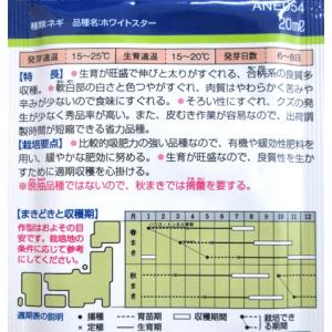 ネギ タキイ交配 ホワイトスターの詳細画像1