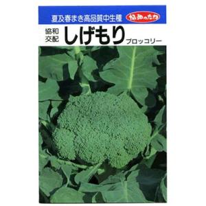 ブロッコリー 種 『アーリーキャノン』 サカタのタネ/ペレット 5000粒