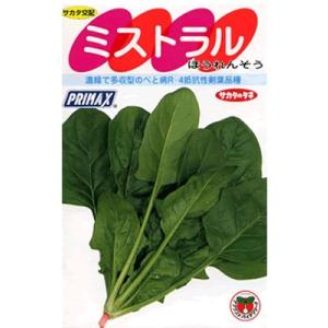 ほうれん草　サカタ交配・・・ミストラル・・・＜サカタのほうれん草です。　種のことならお任せグリーンデ...