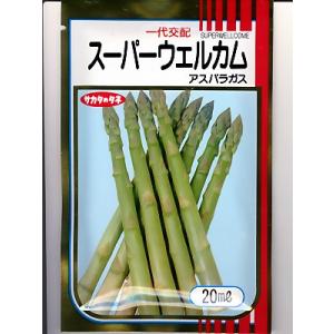 アスパラガス　サカタ交配・・・スーパーウェルカム・・・＜サカタのアスパラです。　種のことならお任せグ...