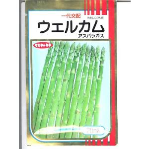 アスパラガス　サカタ交配・・・ウェルカム・・・＜サカタのアスパラです。　種のことならお任せグリーンデ...