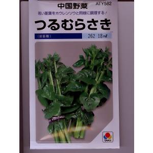 中国野菜　タキイ・・・つるむらさき・・・＜種のことならお任せグリーンデポ＞｜green-depo-1