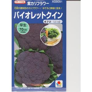 カリフラワーの種　タキイ交配・・・バイオレットクイン・・・＜タキイのカリフラワーです。種の事ならお任せグリーンデポ＞