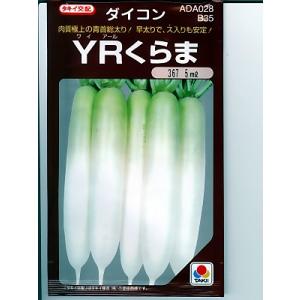 大根種　タキイ交配・・・ＹＲくらま・・・＜タキイの大根です。種のことならお任せグリーンデポ＞｜green-depo-1