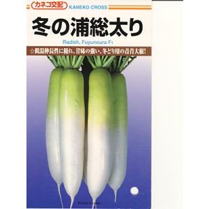 八江農芸 ダイコン だいこん 大根 赤首女山三月 20ml : 種苗・園芸