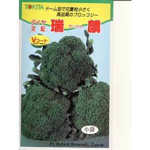サカタのタネ ブロッコリー SK9-099 2000粒 : 種苗・園芸ショップ 種