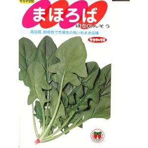 ほうれん草種　サカタ交配・・・まほろば・・・＜サカタのほうれん草です。種のことならお任せグリーンデポ...