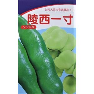 ニムラサラダスナップエンドウ 登録品種 海外持ち出し禁止 みかど協和