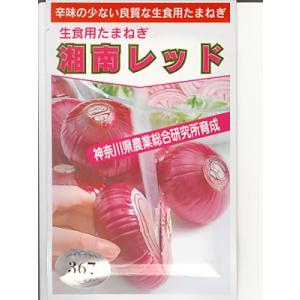 玉ねぎの種　湘南レッド　＜神奈川県農業総合研究所育成種子です。種のことならお任せグリーンデポ＞｜green-depo-1