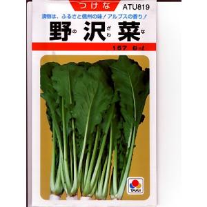 野沢菜 タキイ種苗 <タキイの野沢菜です。種のこ...の商品画像