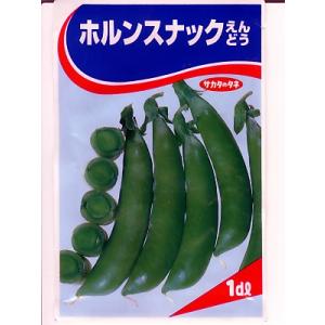 エンドウ種　ホルンスナックえんどう　サカタのタネのつるなしえんどう豆です。
