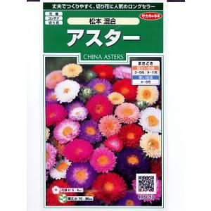 アスター種子　サカタのタネ・・・アスター松本混合・・・＜サカタのアスター種子です。タネのことならグリーンデポ＞｜green-depo-1