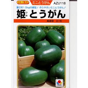 2026年2月】冬瓜 種のおすすめ人気ランキング - Yahoo!ショッピング