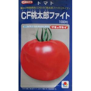 サカタ交配 りんか409 サカタの大玉トマト品種です。 : GREEN DEPO