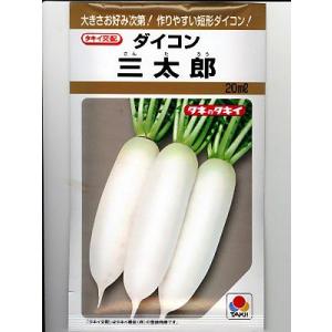大根太郎 タキイ交配 三太郎大根 タキイ種苗の短形大根の種です : GREEN DEPO
