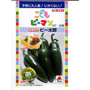 こどもピーマン　タキイ交配ピー太郎　　　タキイ種苗のこどもピーマンの種です。