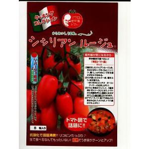 トマト　シシリアンルージュ　パイオニアエコサイエンスの中玉トマト種です。（１００粒入り）