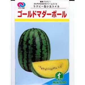 ドラゴンボール - スイカ種さん専用 ドラゴンボール 一番くじ VSオムニバスZ フリーザ & 孫悟空 A賞