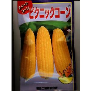 野菜の種/種子 ゴールドラッシュ・とうもろこし 2000粒 (大袋)サカタの