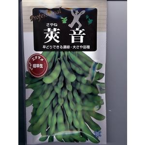 枝豆 神風香 1L 雪印種苗（株） : グリーンロフトネモト - 通販