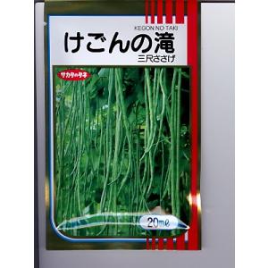 三尺ささげの種　けごんの滝　　　サカタのタネの三尺ささげ種子です。