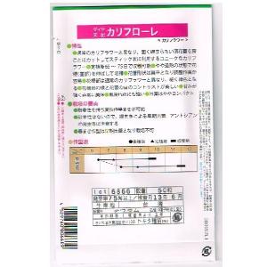 ダイヤ交配 カリフローレ トキタ種苗のスティッ...の詳細画像1