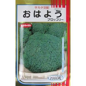 おはよう 2000粒 ブロッコリー 種 : 農園芸と雑貨の店エムエム