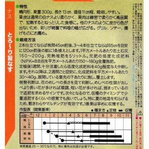 ナス種 とろーり旨なす トキタ種苗のナス品種 ...の詳細画像1
