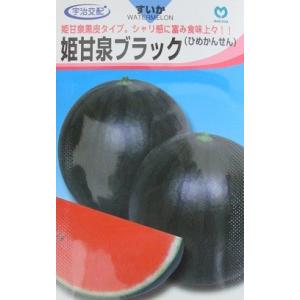 小玉西瓜種 宇治交配 姫甘泉ブラックすいか 丸種...の商品画像