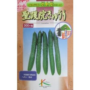 Green Depoヤフー店 キュウリの種 野菜種 果菜類 Yahoo ショッピング