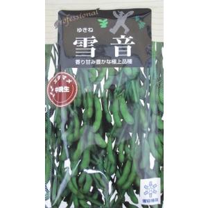 枝豆 神風香 1L 雪印種苗（株） : グリーンロフトネモト - 通販