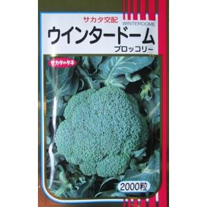 サカタのタネ（サカタノタネ） ブロッコリー おはよう 2000粒 （株