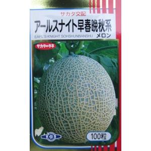 サカタ交配　アールスナイト早春晩秋系メロン　サカタのタネのネットメロン品種