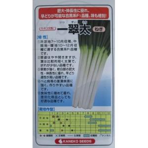 カネコ交配　一翠太ねぎ　　　　　カネコ種苗の一本太ネギ品種です。｜green-depo-1