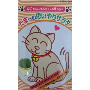 たまへの思いやりサラダ ねこちゃんわんちゃんの草...の商品画像