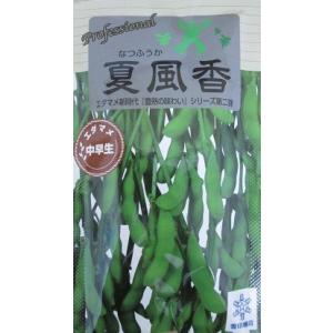 ニムラサラダスナップエンドウ 登録品種 海外持ち出し禁止 みかど協和