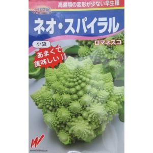 ネオ・スパイラル ロマネスコ 渡辺農事のカリフラ...の商品画像