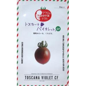 トスカーナバイオレットＣＦ　パイオニアエコサイエンスのミニトマト品種です。（１００粒入り）｜green-depo-1