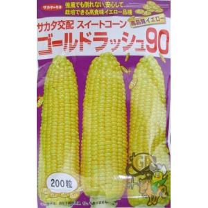 サカタのタネ（サカタノタネ） とうもろこし ゴールドラッシュ90 200粒