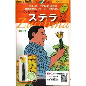 ズッキーナ　ステラ２　トキタ種苗の花ズッキーニの種｜green-depo-1