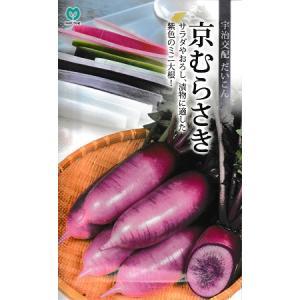 宇治交配 京むらさき ミニダイコン 20ml 丸...の商品画像